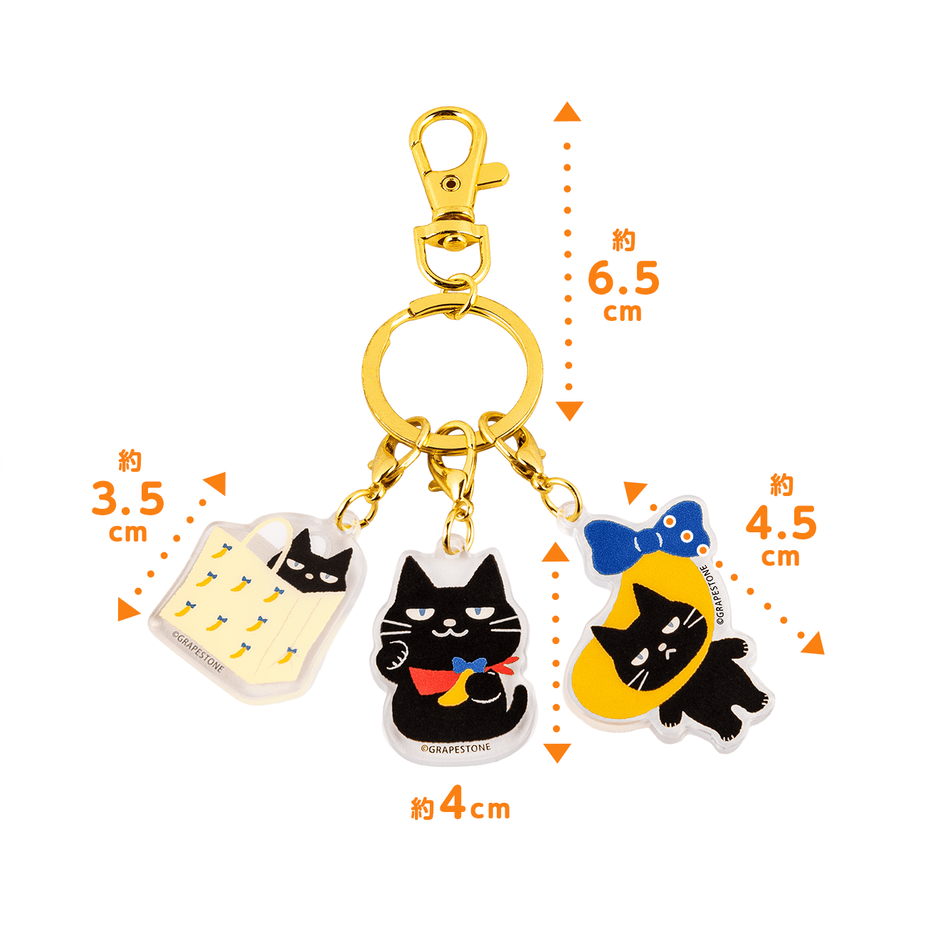 SAMPLE