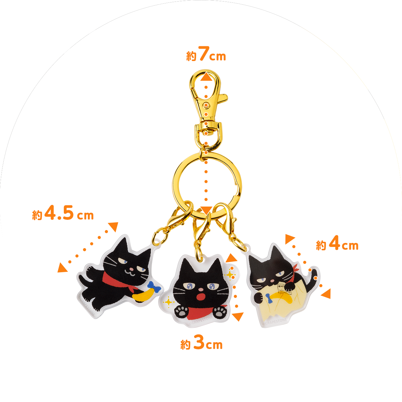 SAMPLE