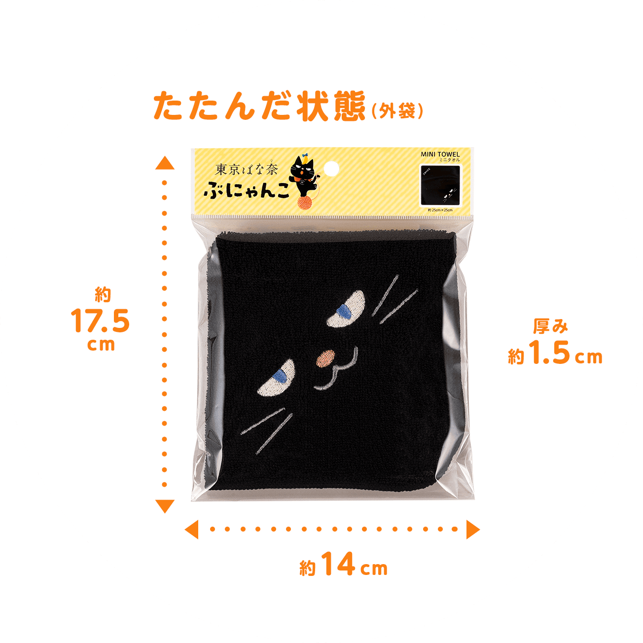 SAMPLE